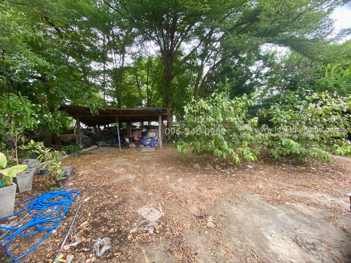 ขายที่ดินแถมบ้าน 2 หลัง พิงเขาสวย ต.ดอนคา อ.อู่ทอง จ.สุพรรณบุรี พื้นที่ 242 ตรว. บรรยากาศดี ร่มรื่น ลมพัดเย็นตลอด วิวภูเขาและทุ่งนา