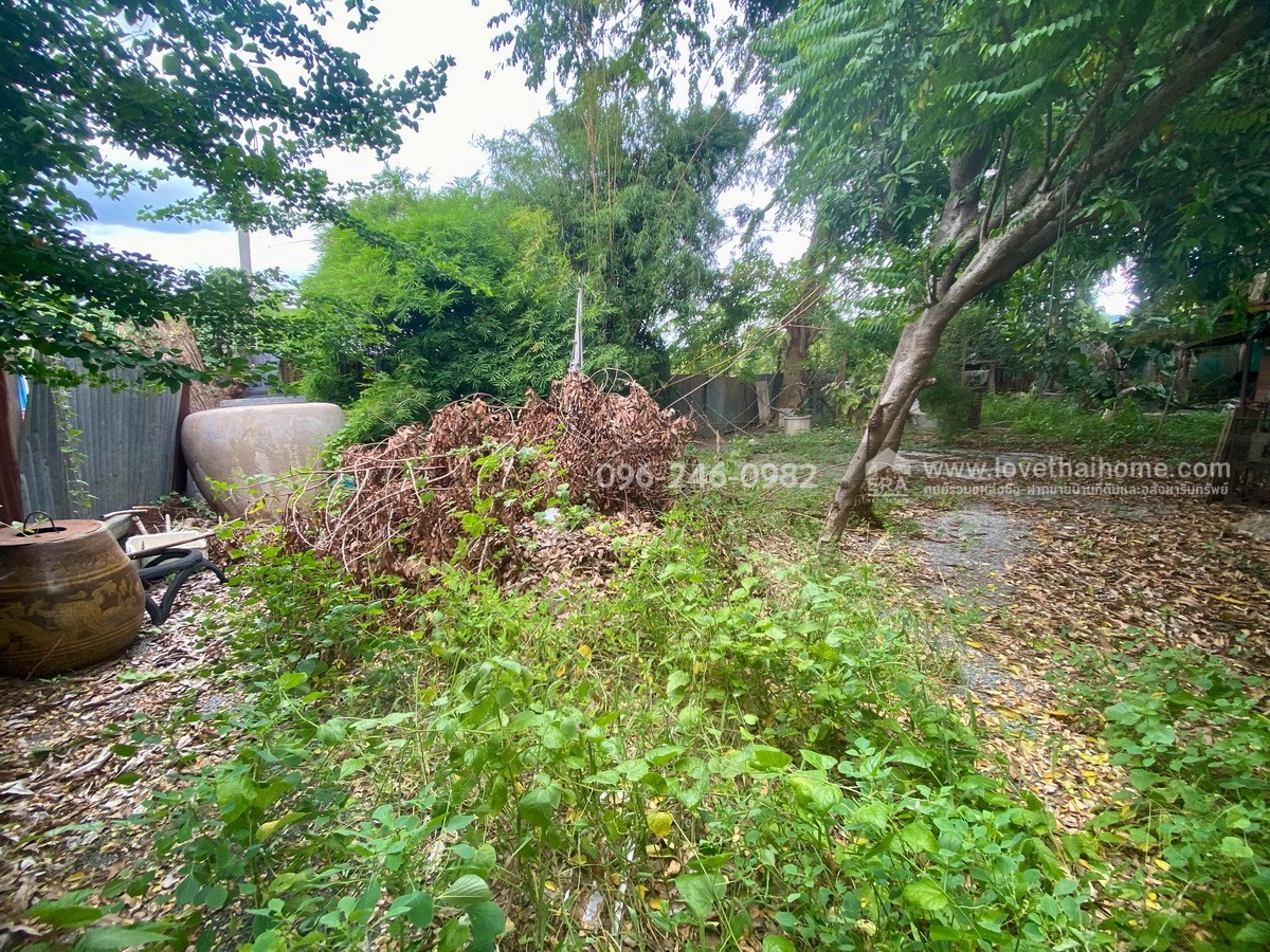 ขายที่ดินแถมบ้าน 2 หลัง พิงเขาสวย ต.ดอนคา อ.อู่ทอง จ.สุพรรณบุรี พื้นที่ 242 ตรว. บรรยากาศดี ร่มรื่น ลมพัดเย็นตลอด วิวภูเขาและทุ่งนา