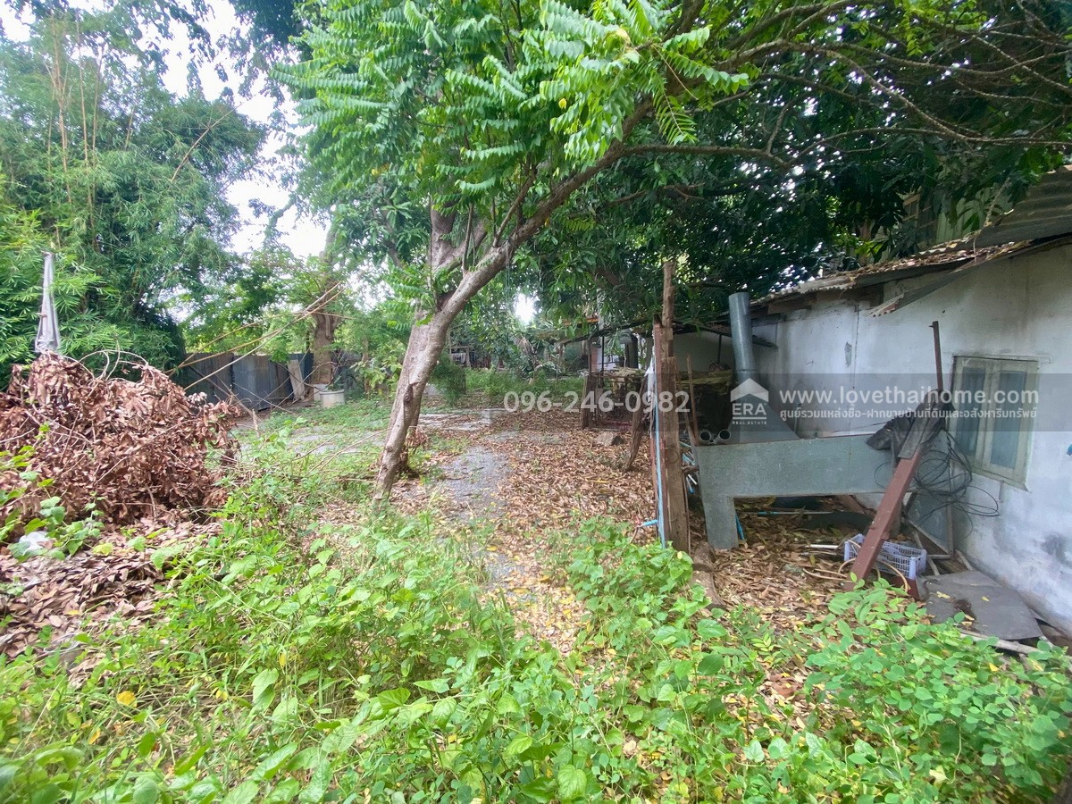ขายที่ดินแถมบ้าน 2 หลัง พิงเขาสวย ต.ดอนคา อ.อู่ทอง จ.สุพรรณบุรี พื้นที่ 242 ตรว. บรรยากาศดี ร่มรื่น ลมพัดเย็นตลอด วิวภูเขาและทุ่งนา