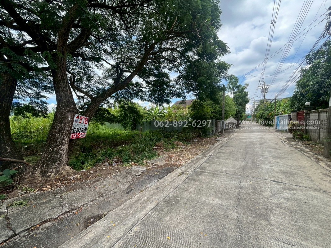 ขายที่ดิน ซอยเพชรเกษม108/5 ถ.พุทธมณฑลสาย4 หนองแขม ขนาด 205 ตารางวา ขาย 25,000 บาท/ตรว. ที่สวยทำเลดี ใจกลางกรุง สนใจโทร. 062-892-6297