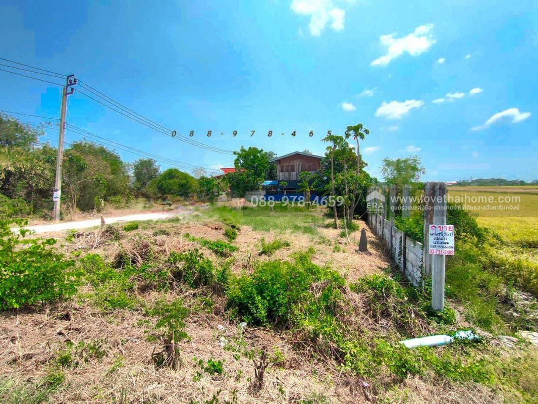 ขายที่ดิน ถ.นนทบุรี3008 ไทรน้อย พื้นที่ 96 ตรว. แปลงมุม ติดถนน 2 ด้าน ที่ดินถมแล้วสูงเท่าถนน ใกล้วัดราษฎร์นิยม เหมาะสร้างบ้าน ทำคาเฟ่,ร้านอาหารต่างๆ บรรยากาศดี
