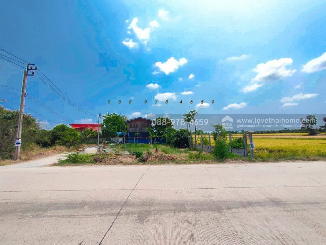 ขายที่ดิน ถ.นนทบุรี3008 ไทรน้อย พื้นที่ 96 ตรว. แปลงมุม ติดถนน 2 ด้าน ที่ดินถมแล้วสูงเท่าถนน ใกล้วัดราษฎร์นิยม เหมาะสร้างบ้าน ทำคาเฟ่,ร้านอาหารต่างๆ บรรยากาศดี