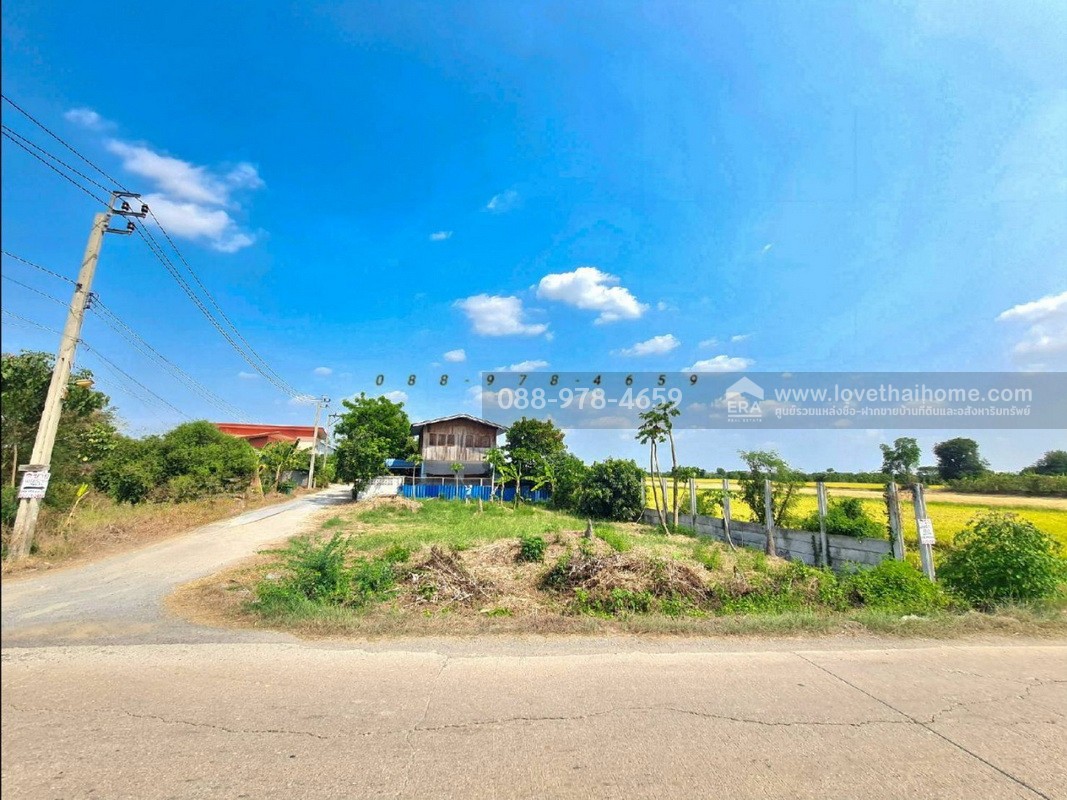 ขายที่ดิน ถ.นนทบุรี3008 ไทรน้อย พื้นที่ 96 ตรว. แปลงมุม ติดถนน 2 ด้าน ที่ดินถมแล้วสูงเท่าถนน ใกล้วัดราษฎร์นิยม เหมาะสร้างบ้าน ทำคาเฟ่,ร้านอาหารต่างๆ บรรยากาศดี
