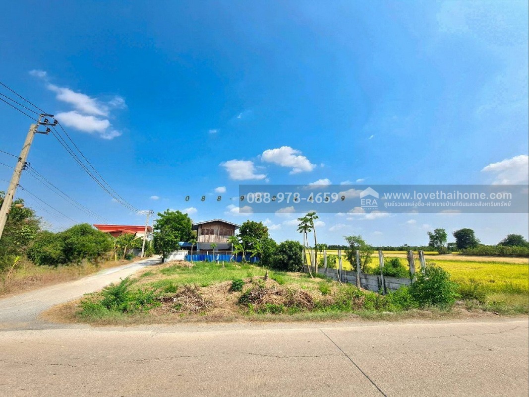 ขายที่ดิน ถ.นนทบุรี3008 ไทรน้อย พื้นที่ 96 ตรว. แปลงมุม ติดถนน 2 ด้าน ที่ดินถมแล้วสูงเท่าถนน ใกล้วัดราษฎร์นิยม เหมาะสร้างบ้าน ทำคาเฟ่,ร้านอาหารต่างๆ บรรยากาศดี