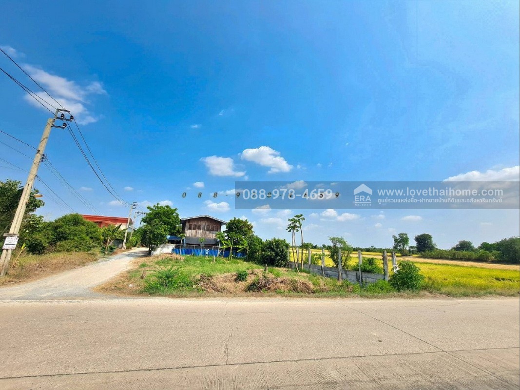 ขายที่ดิน ถ.นนทบุรี3008 ไทรน้อย พื้นที่ 96 ตรว. แปลงมุม ติดถนน 2 ด้าน ที่ดินถมแล้วสูงเท่าถนน ใกล้วัดราษฎร์นิยม เหมาะสร้างบ้าน ทำคาเฟ่,ร้านอาหารต่างๆ บรรยากาศดี