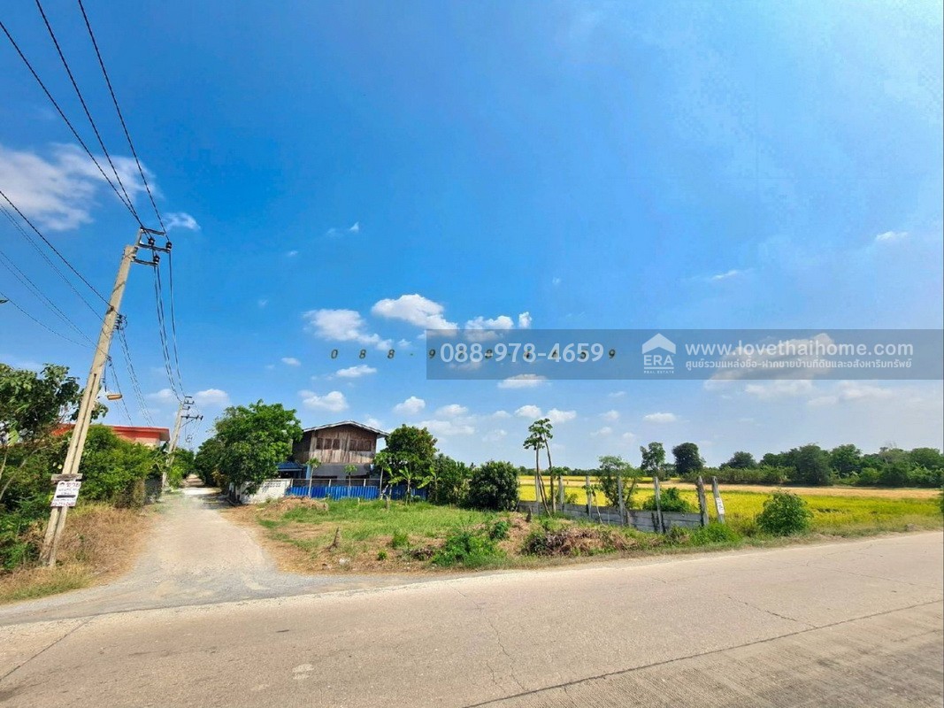 ขายที่ดิน ถ.นนทบุรี3008 ไทรน้อย พื้นที่ 96 ตรว. แปลงมุม ติดถนน 2 ด้าน ที่ดินถมแล้วสูงเท่าถนน ใกล้วัดราษฎร์นิยม เหมาะสร้างบ้าน ทำคาเฟ่,ร้านอาหารต่างๆ บรรยากาศดี