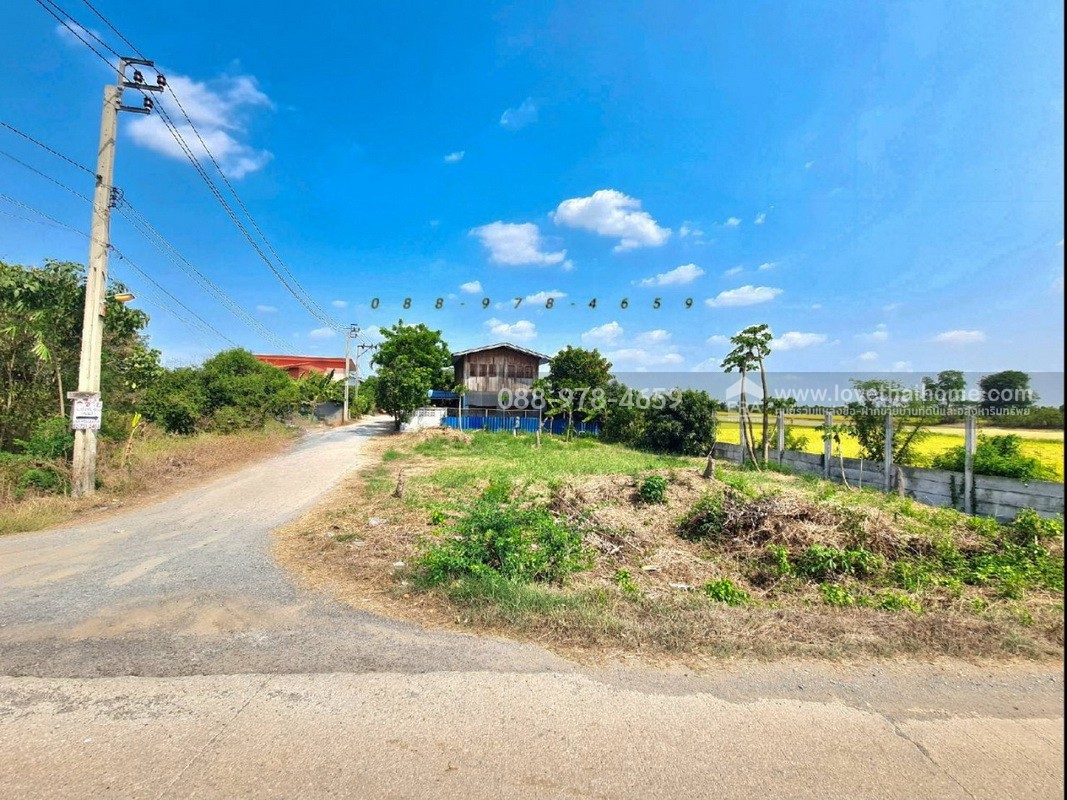ขายที่ดิน ถ.นนทบุรี3008 ไทรน้อย พื้นที่ 96 ตรว. แปลงมุม ติดถนน 2 ด้าน ที่ดินถมแล้วสูงเท่าถนน ใกล้วัดราษฎร์นิยม เหมาะสร้างบ้าน ทำคาเฟ่,ร้านอาหารต่างๆ บรรยากาศดี