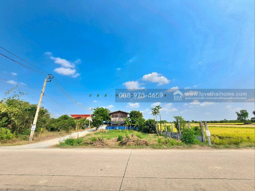 ขายที่ดิน ถ.นนทบุรี3008 ไทรน้อย พื้นที่ 96 ตรว. แปลงมุม ติดถนน 2 ด้าน ที่ดินถมแล้วสูงเท่าถนน ใกล้วัดราษฎร์นิยม เหมาะสร้างบ้าน ทำคาเฟ่,ร้านอาหารต่างๆ บรรยากาศดี