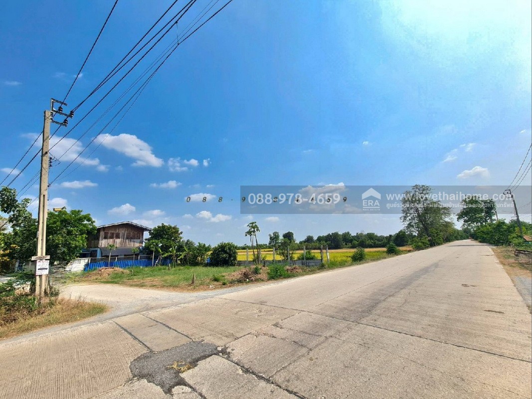 ขายที่ดิน ถ.นนทบุรี3008 ไทรน้อย พื้นที่ 96 ตรว. แปลงมุม ติดถนน 2 ด้าน ที่ดินถมแล้วสูงเท่าถนน ใกล้วัดราษฎร์นิยม เหมาะสร้างบ้าน ทำคาเฟ่,ร้านอาหารต่างๆ บรรยากาศดี