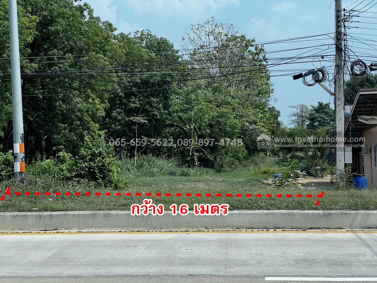 ขายที่ดิน ติดถนนใหญ่ 6 เลน สาย 319 (หนองชะอม–พนมสารคาม) ท่าถ่าน ฉะเชิงเทรา พื้นที่ 286 ตร.วา ผังเมืองสีเหลืองอ่อน เขตพื้นที่ชุมชนชนบท