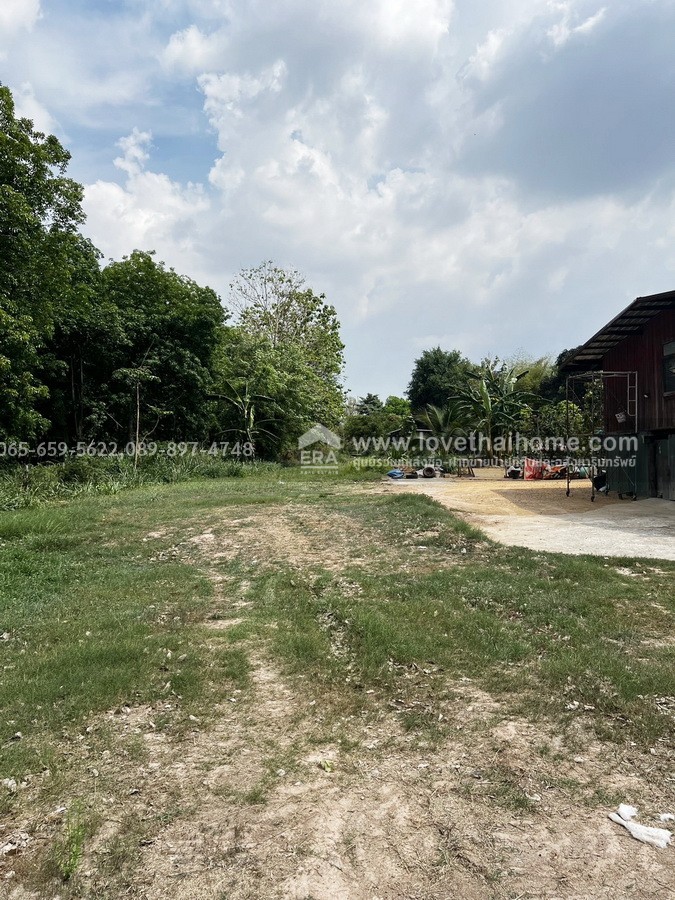 ขายที่ดิน ติดถนนใหญ่ 6 เลน สาย 319 (หนองชะอม–พนมสารคาม) ท่าถ่าน ฉะเชิงเทรา พื้นที่ 286 ตร.วา ผังเมืองสีเหลืองอ่อน เขตพื้นที่ชุมชนชนบท