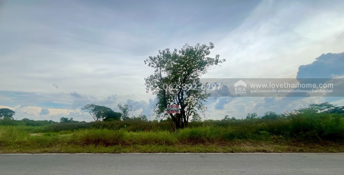 ขายที่ดิน ลำลูกกา คลอง11 ปทุมธานี ขนาด 2 ไร่ ถมแล้ว แปลงสวย ทำเลดี ขายด่วนราคาพิเศษ ใครมองหาที่ดินทำเลดีบอกเลยว่าห้ามพลาด ตรงข้ามสนามกอล์ฟ ลำลูกกา คันทรีคลับ ใกล้ Reignwood Park