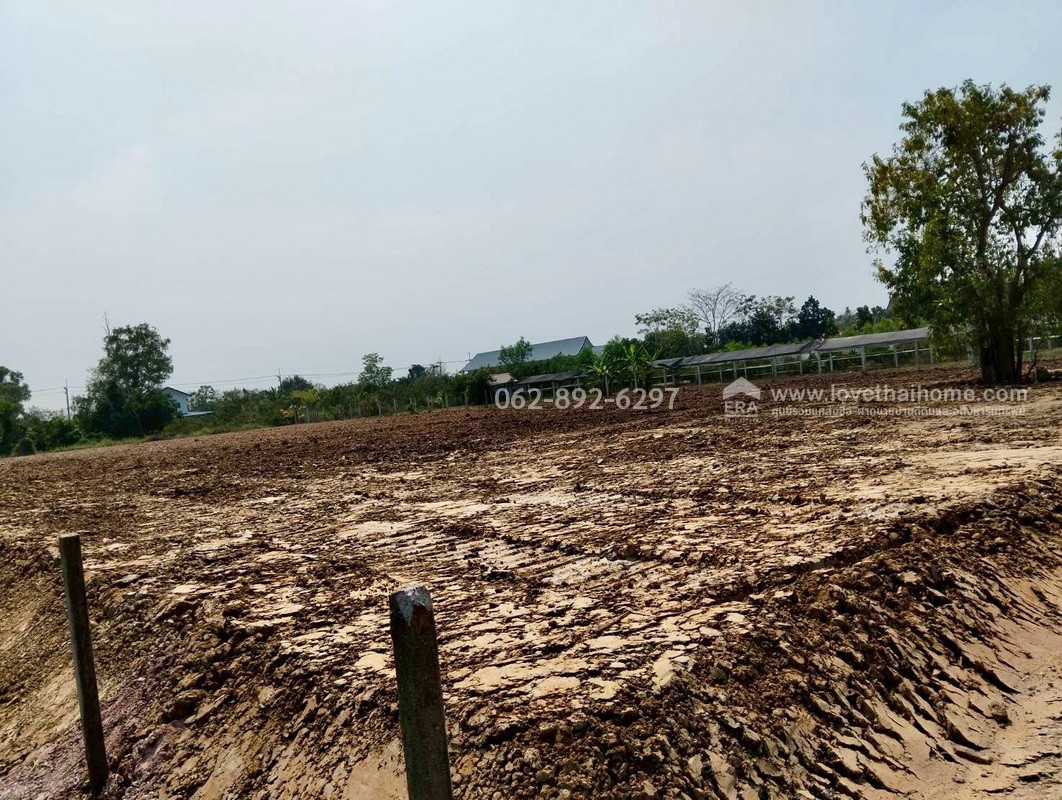 ขายที่ดิน ลำลูกกา คลอง11 ปทุมธานี ขนาด 2 ไร่ ถมแล้ว แปลงสวย ทำเลดี ขายด่วนราคาพิเศษ ใครมองหาที่ดินทำเลดีบอกเลยว่าห้ามพลาด ตรงข้ามสนามกอล์ฟ ลำลูกกา คันทรีคลับ ใกล้ Reignwood Park