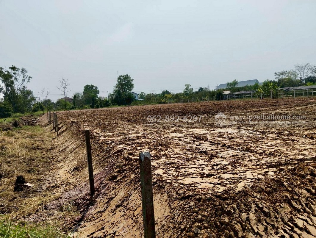 ขายที่ดิน ลำลูกกา คลอง11 ปทุมธานี ขนาด 2 ไร่ ถมแล้ว แปลงสวย ทำเลดี ขายด่วนราคาพิเศษ ใครมองหาที่ดินทำเลดีบอกเลยว่าห้ามพลาด ตรงข้ามสนามกอล์ฟ ลำลูกกา คันทรีคลับ ใกล้ Reignwood Park