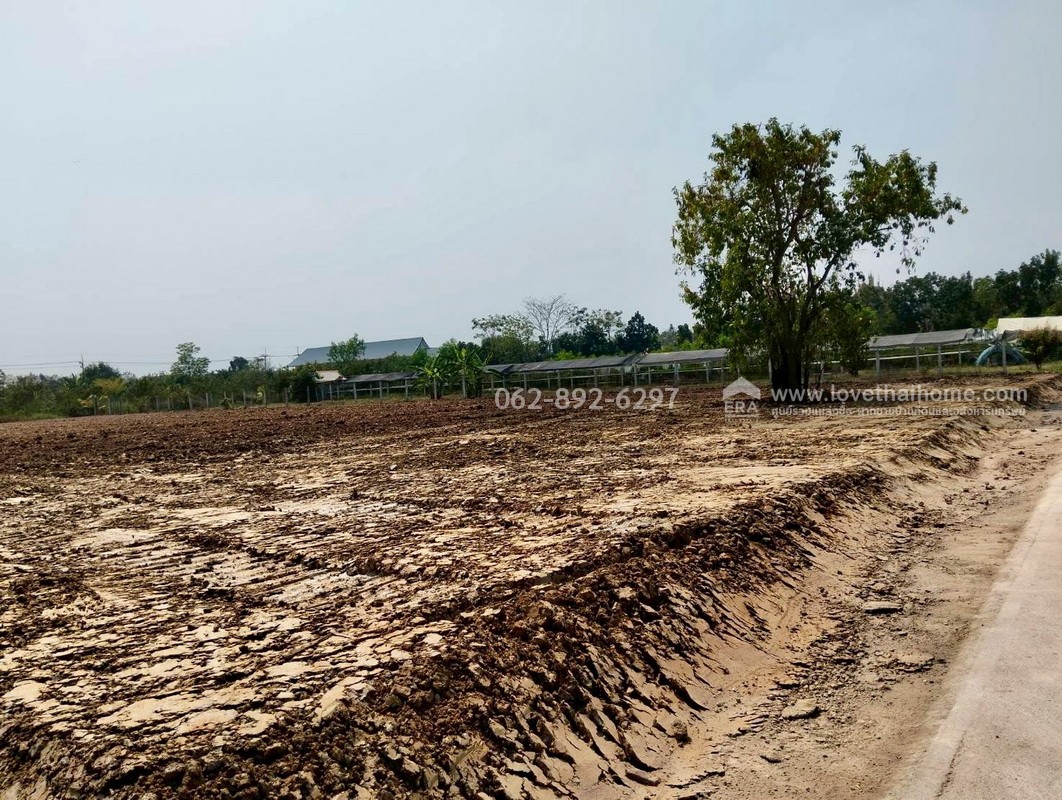 ขายที่ดิน ลำลูกกา คลอง11 ปทุมธานี ขนาด 2 ไร่ ถมแล้ว แปลงสวย ทำเลดี ขายด่วนราคาพิเศษ ใครมองหาที่ดินทำเลดีบอกเลยว่าห้ามพลาด ตรงข้ามสนามกอล์ฟ ลำลูกกา คันทรีคลับ ใกล้ Reignwood Park