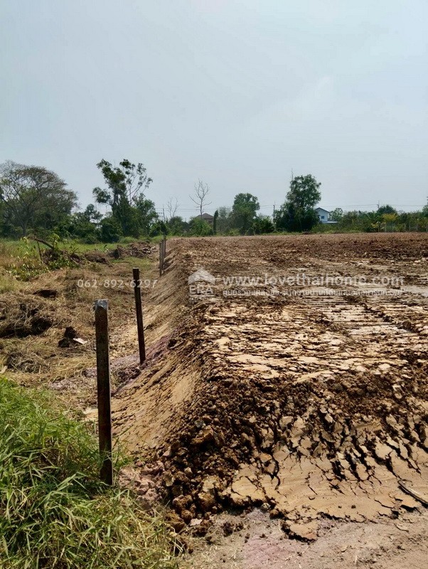 ขายที่ดิน ลำลูกกา คลอง11 ปทุมธานี ขนาด 2 ไร่ ถมแล้ว แปลงสวย ทำเลดี ขายด่วนราคาพิเศษ ใครมองหาที่ดินทำเลดีบอกเลยว่าห้ามพลาด ตรงข้ามสนามกอล์ฟ ลำลูกกา คันทรีคลับ ใกล้ Reignwood Park