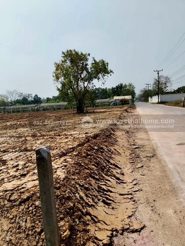 ขายที่ดิน ลำลูกกา คลอง11 ปทุมธานี ขนาด 2 ไร่ ถมแล้ว แปลงสวย ทำเลดี ขายด่วนราคาพิเศษ ใครมองหาที่ดินทำเลดีบอกเลยว่าห้ามพลาด ตรงข้ามสนามกอล์ฟ ลำลูกกา คันทรีคลับ ใกล้ Reignwood Park