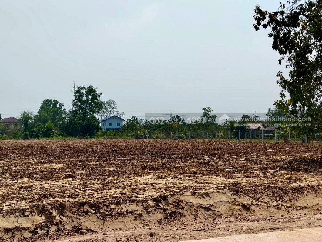 ขายที่ดิน ลำลูกกา คลอง11 ปทุมธานี ขนาด 2 ไร่ ถมแล้ว แปลงสวย ทำเลดี ขายด่วนราคาพิเศษ ใครมองหาที่ดินทำเลดีบอกเลยว่าห้ามพลาด ตรงข้ามสนามกอล์ฟ ลำลูกกา คันทรีคลับ ใกล้ Reignwood Park