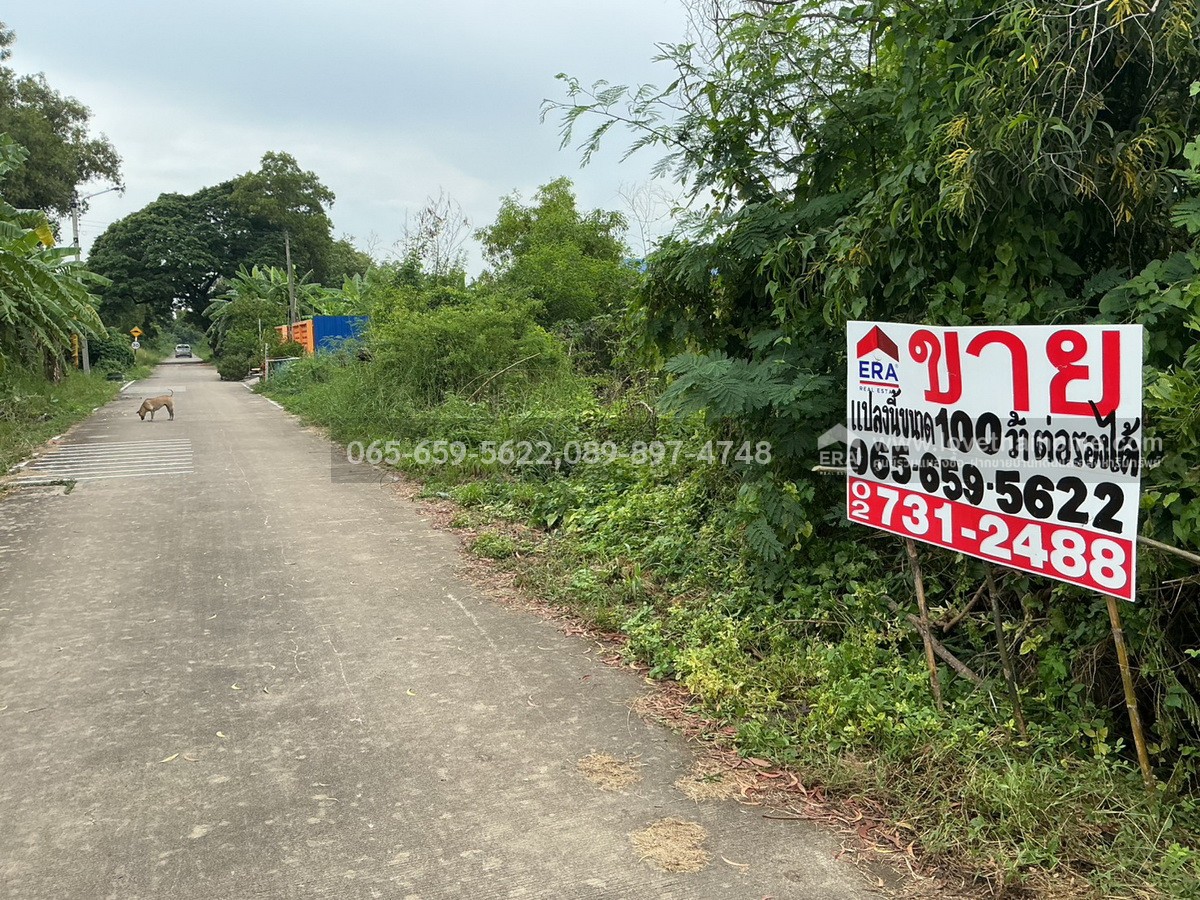 ขายที่ดิน ในซอยคลองสาม 6/2 ถ.คูคต-คลองหลวง ทะลุ ถ.คลองแอน ปทุมธานี พื้นที่ 100 ตร.วา ใกล้พระวัดธรรมกาย ถูกมากๆ จองด่วน 