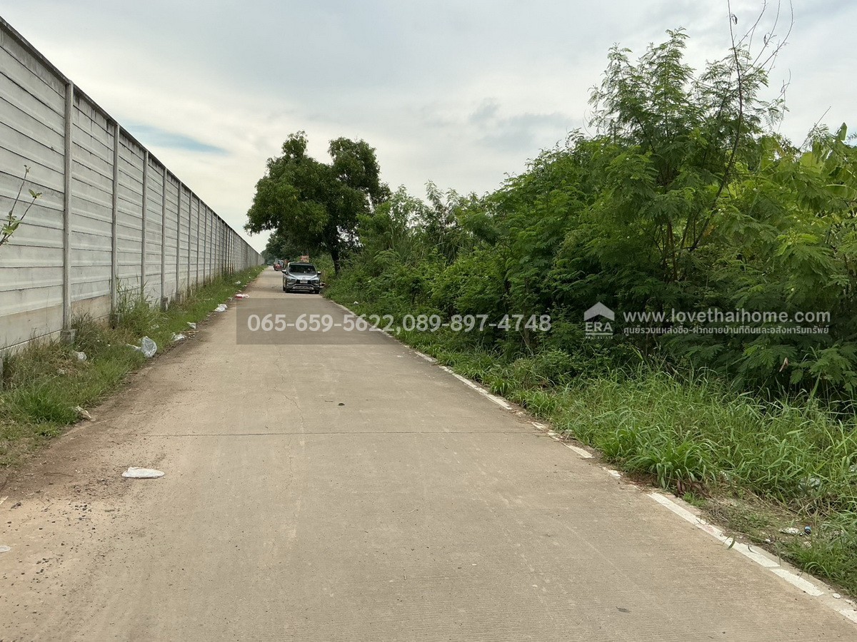 ขายที่ดิน ในซอยคลองสาม 6/2 ถ.คูคต-คลองหลวง ทะลุ ถ.คลองแอน ปทุมธานี พื้นที่ 100 ตร.วา ใกล้พระวัดธรรมกาย ถูกมากๆ จองด่วน 
