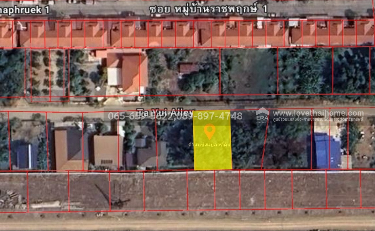 ขายที่ดิน ในซอยคลองสาม 6/2 ถ.คูคต-คลองหลวง ทะลุ ถ.คลองแอน ปทุมธานี พื้นที่ 100 ตร.วา ใกล้พระวัดธรรมกาย ถูกมากๆ จองด่วน 