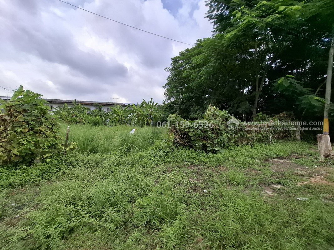 ขายที่ดิน 151.2 ตร.วา หมู่บ้านวรารมย์-ลาดกระบัง ซ.ฉลองกรุง 24 เหมาะสร้างบ้าน ใกล้นิคมอุตสาหกรรมลาดกระบัง