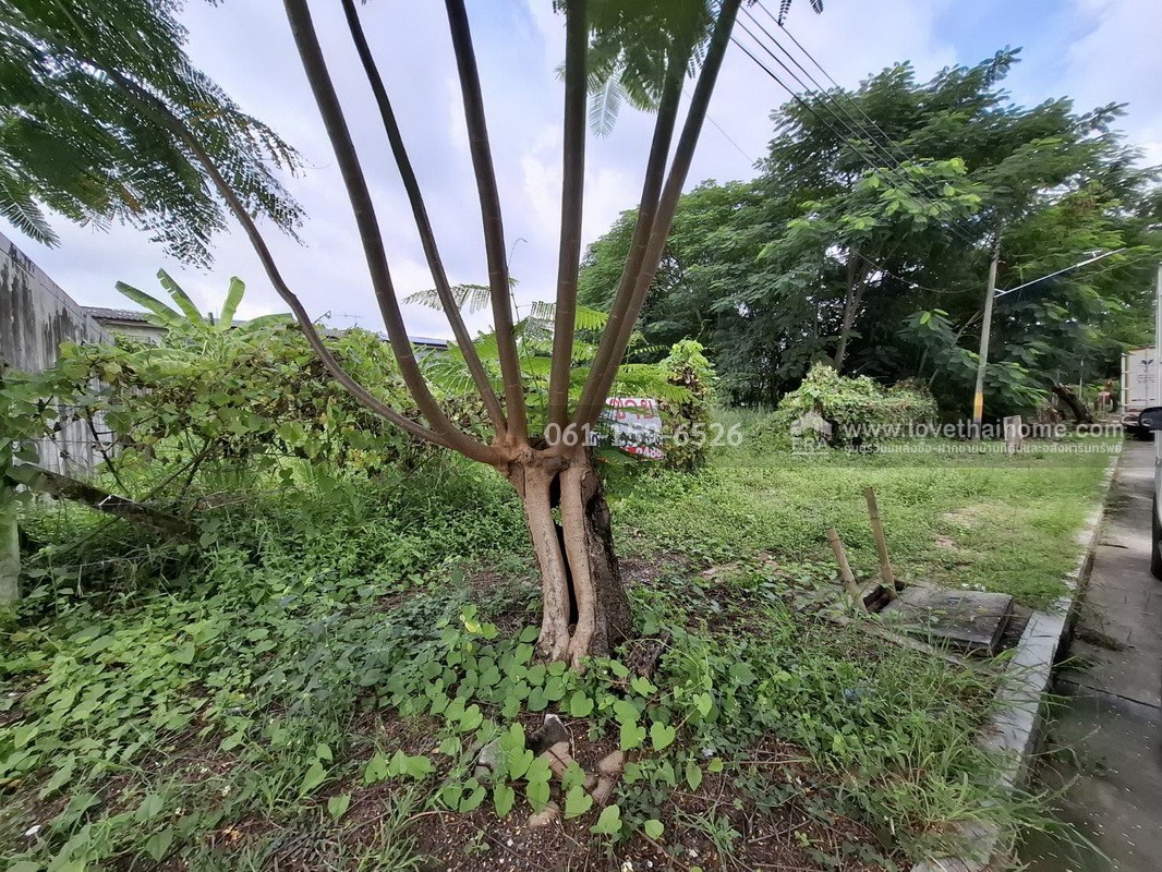 ขายที่ดิน 151.2 ตร.วา หมู่บ้านวรารมย์-ลาดกระบัง ซ.ฉลองกรุง 24 เหมาะสร้างบ้าน ใกล้นิคมอุตสาหกรรมลาดกระบัง