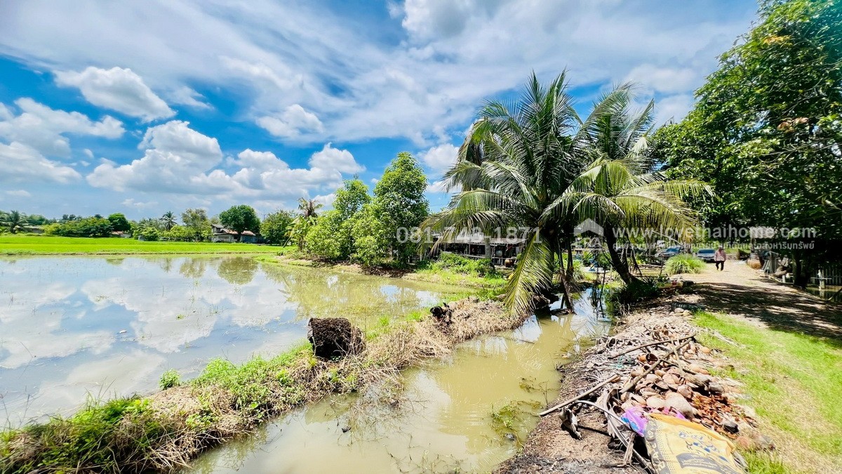 ขายที่ดิน รังสิต คลอง9 ติดถนนเลียบคลอง9 หนองเสือ เนื้อที่ 59-1-63 ไร่ ผังสีชมพู ต.บึงบา จ.ปทุมธานี