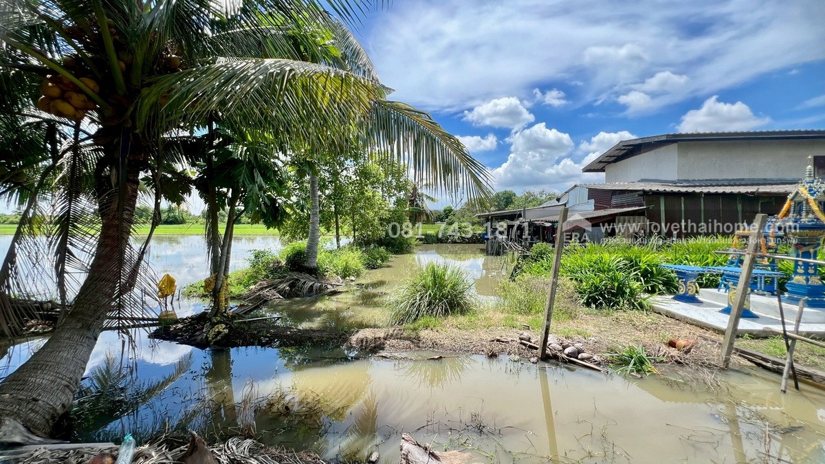 ขายที่ดิน รังสิต คลอง9 ติดถนนเลียบคลอง9 หนองเสือ เนื้อที่ 59-1-63 ไร่ ผังสีชมพู ต.บึงบา จ.ปทุมธานี