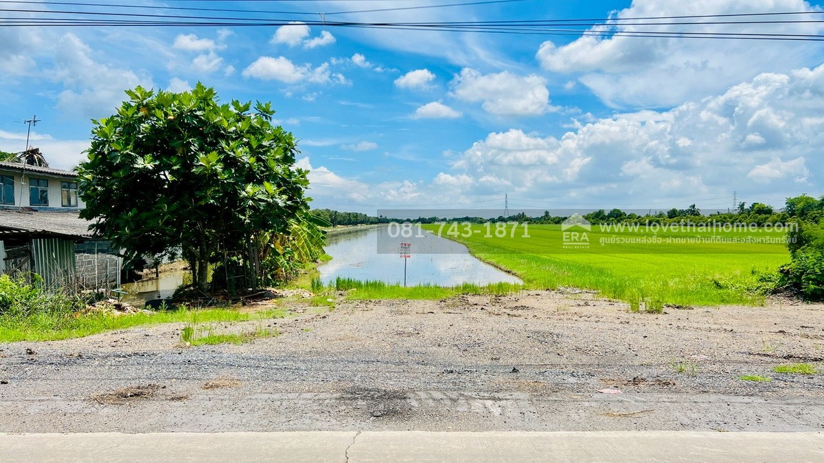 ขายที่ดิน รังสิต คลอง9 ติดถนนเลียบคลอง9 หนองเสือ เนื้อที่ 59-1-63 ไร่ ผังสีชมพู ต.บึงบา จ.ปทุมธานี