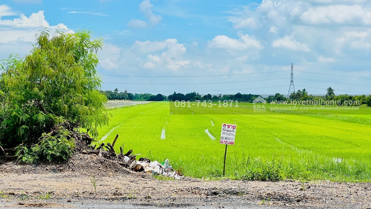 ขายที่ดิน รังสิต คลอง9 ติดถนนเลียบคลอง9 หนองเสือ เนื้อที่ 59-1-63 ไร่ ผังสีชมพู ต.บึงบา จ.ปทุมธานี
