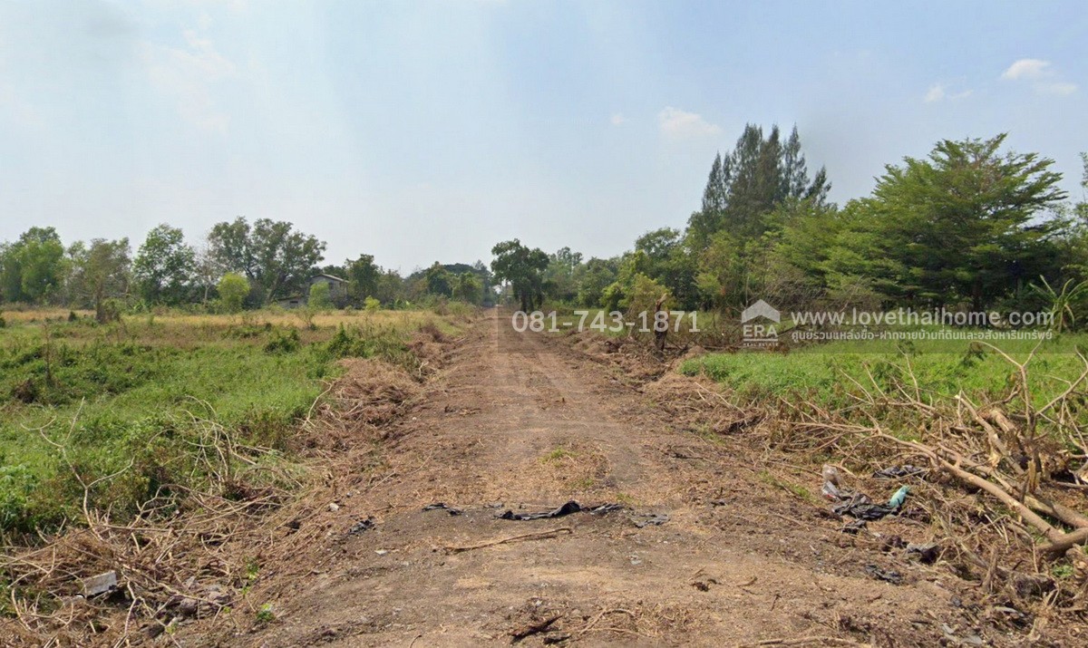 ขายที่ดินคลองหลวง คลอง6 ซอยคลองหกตะวันตก13 พื้นที่ 100 ตรว. ผังสีเขียว เข้าซอยไม่ลึก ใกล้ม.ราชมงคลธัญบุรี