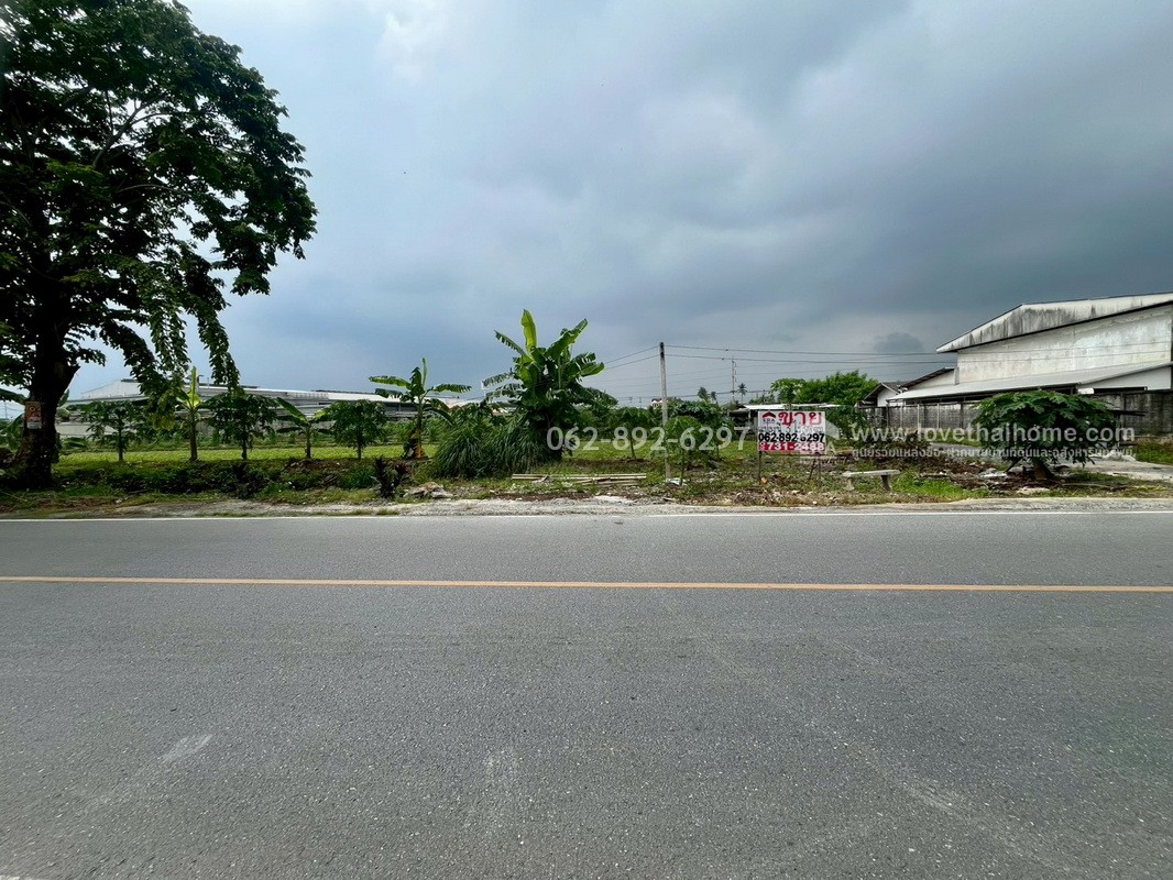 ขายที่ดิน ซอยบางเตย1 พุทธมณฑลสาย5 สามพราน นครปฐม ขนาด 3 ไร่ 3 งาน 78 ตารางวา ติดถนน แปลงสวย ทำเลทอง ขายในราคาสุดคุ้มค่า ทำเลแบบนี้หายากมากในย่านนี้