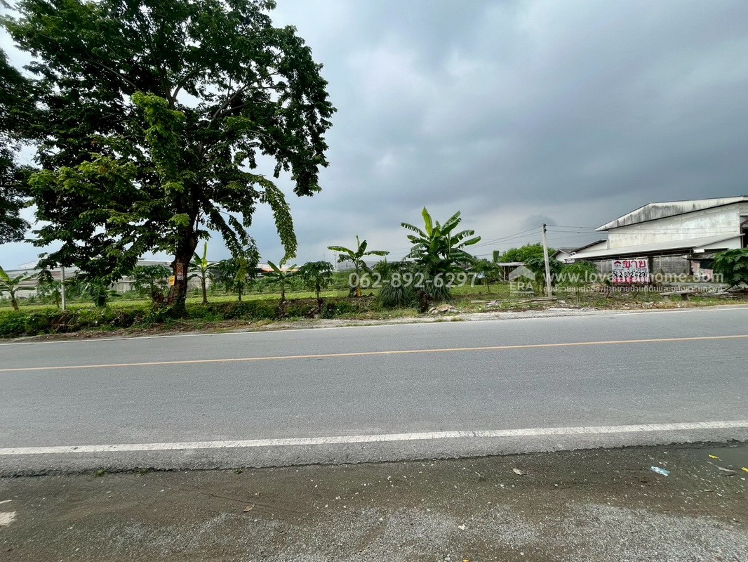 ขายที่ดิน ซอยบางเตย1 พุทธมณฑลสาย5 สามพราน นครปฐม ขนาด 3 ไร่ 3 งาน 78 ตารางวา ติดถนน แปลงสวย ทำเลทอง ขายในราคาสุดคุ้มค่า ทำเลแบบนี้หายากมากในย่านนี้