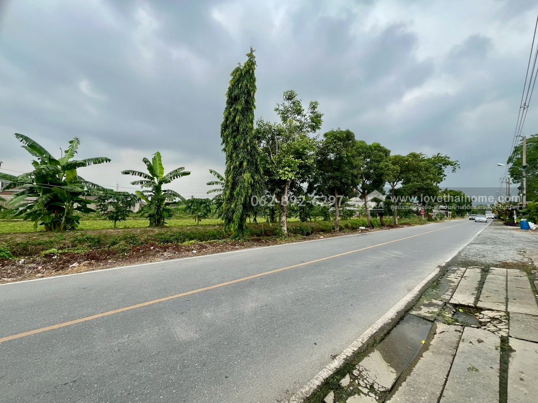 ขายที่ดิน ซอยบางเตย1 พุทธมณฑลสาย5 สามพราน นครปฐม ขนาด 3 ไร่ 3 งาน 78 ตารางวา ติดถนน แปลงสวย ทำเลทอง ขายในราคาสุดคุ้มค่า ทำเลแบบนี้หายากมากในย่านนี้