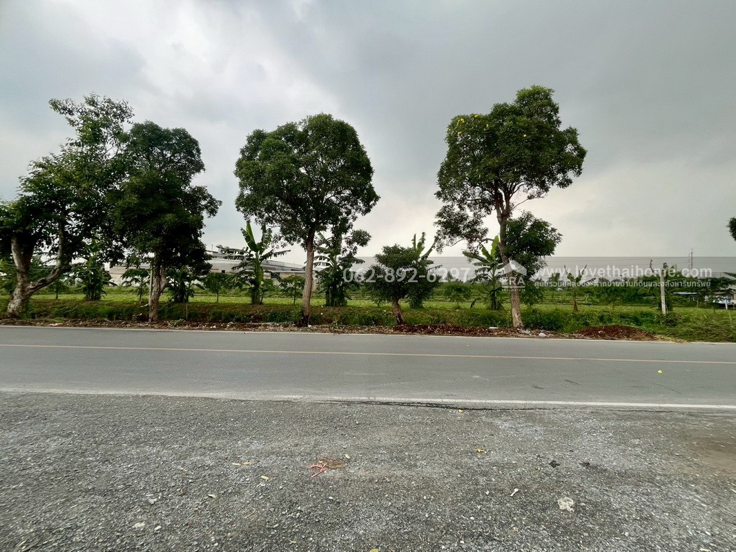 ขายที่ดิน ซอยบางเตย1 พุทธมณฑลสาย5 สามพราน นครปฐม ขนาด 3 ไร่ 3 งาน 78 ตารางวา ติดถนน แปลงสวย ทำเลทอง ขายในราคาสุดคุ้มค่า ทำเลแบบนี้หายากมากในย่านนี้