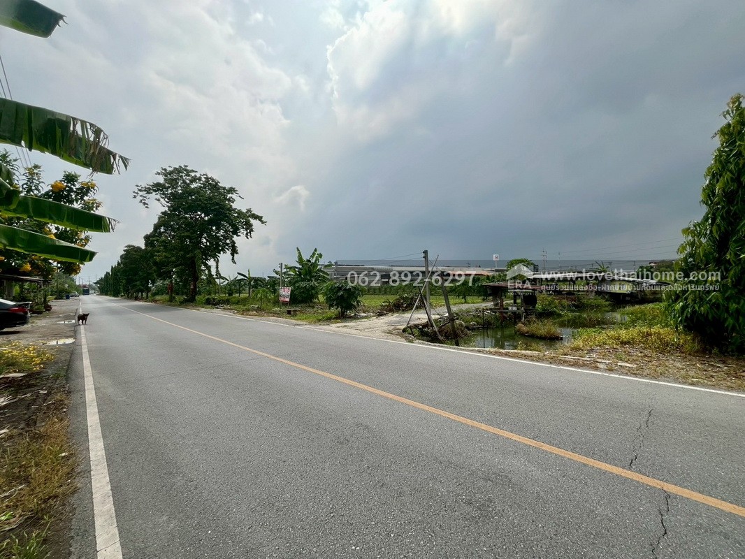 ขายที่ดิน ซอยบางเตย1 พุทธมณฑลสาย5 สามพราน นครปฐม ขนาด 3 ไร่ 3 งาน 78 ตารางวา ติดถนน แปลงสวย ทำเลทอง ขายในราคาสุดคุ้มค่า ทำเลแบบนี้หายากมากในย่านนี้