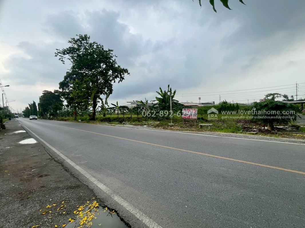 ขายที่ดิน ซอยบางเตย1 พุทธมณฑลสาย5 สามพราน นครปฐม ขนาด 3 ไร่ 3 งาน 78 ตารางวา ติดถนน แปลงสวย ทำเลทอง ขายในราคาสุดคุ้มค่า ทำเลแบบนี้หายากมากในย่านนี้