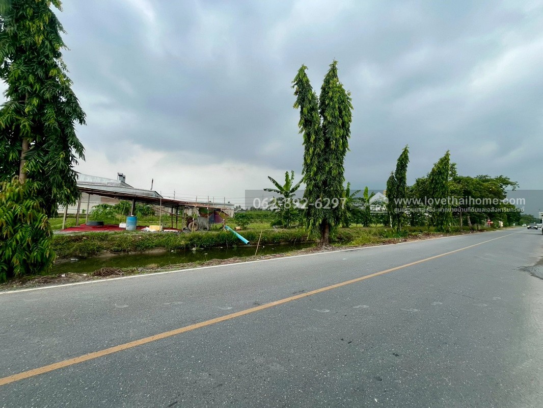 ขายที่ดิน ซอยบางเตย1 พุทธมณฑลสาย5 สามพราน นครปฐม ขนาด 3 ไร่ 3 งาน 78 ตารางวา ติดถนน แปลงสวย ทำเลทอง ขายในราคาสุดคุ้มค่า ทำเลแบบนี้หายากมากในย่านนี้