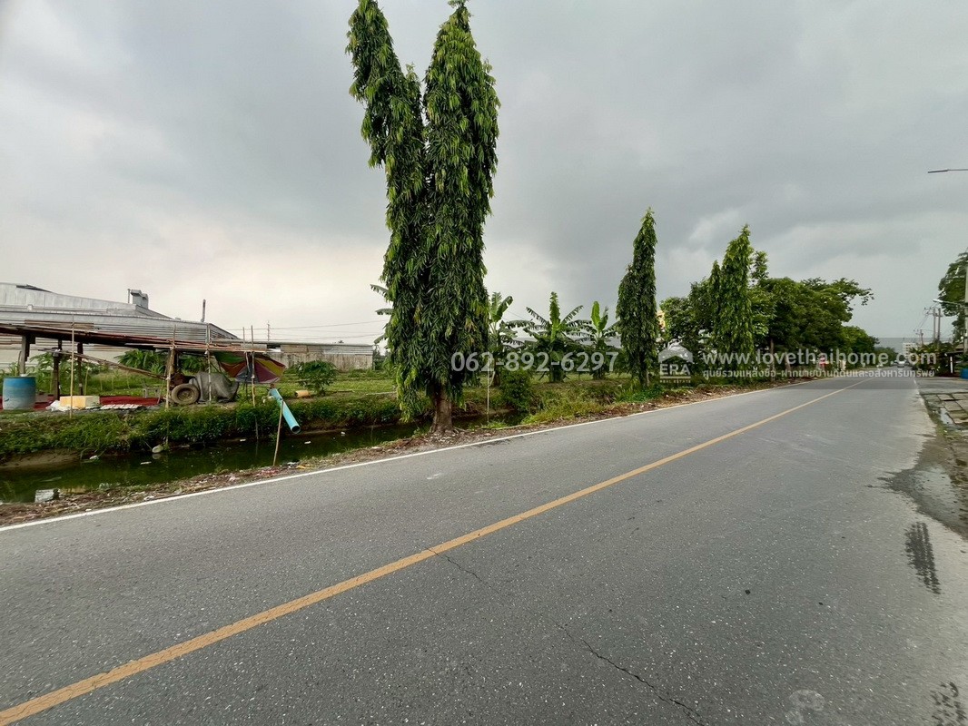 ขายที่ดิน ซอยบางเตย1 พุทธมณฑลสาย5 สามพราน นครปฐม ขนาด 3 ไร่ 3 งาน 78 ตารางวา ติดถนน แปลงสวย ทำเลทอง ขายในราคาสุดคุ้มค่า ทำเลแบบนี้หายากมากในย่านนี้