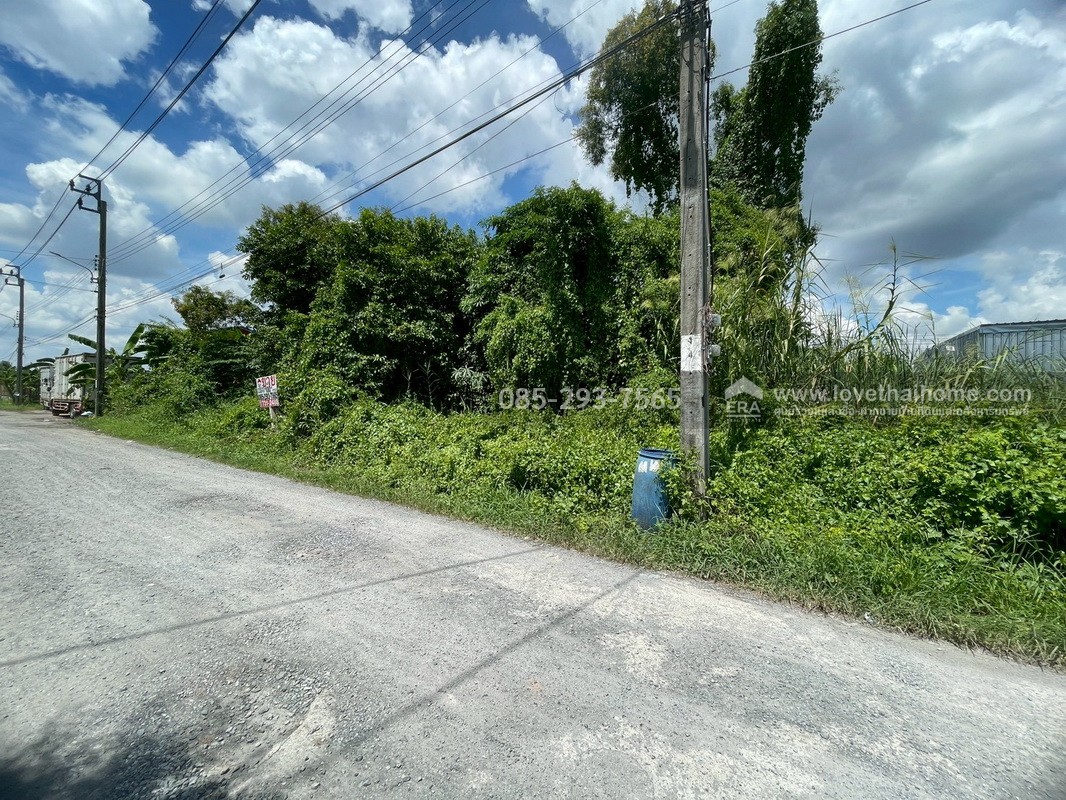 ขายที่ดิน ซอยคุ้มเกล้า62 ย่านลาดกระบัง พื้นที่ 100 ตารางวา เพียง 100 เมตร จากถนนใหญ่ ถมแล้ว