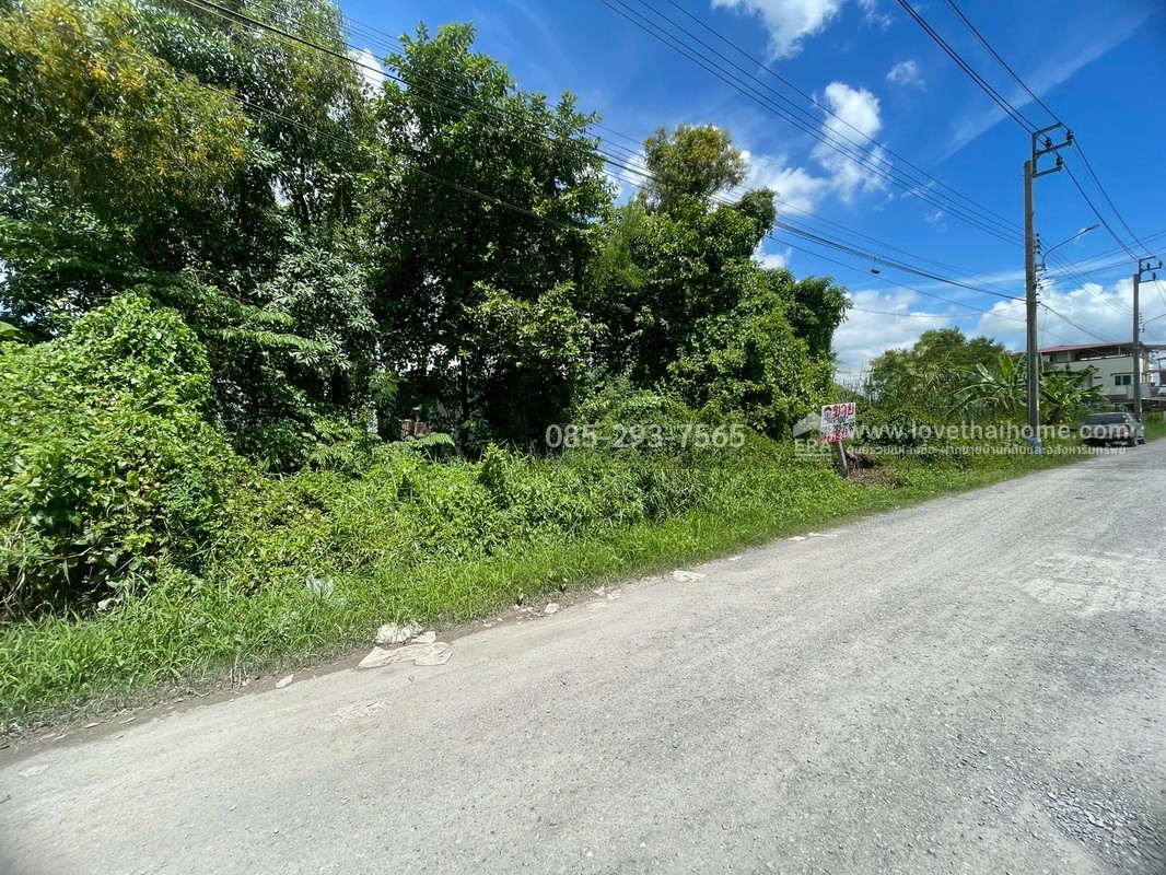 ขายที่ดิน ซอยคุ้มเกล้า62 ย่านลาดกระบัง พื้นที่ 100 ตารางวา เพียง 100 เมตร จากถนนใหญ่ ถมแล้ว