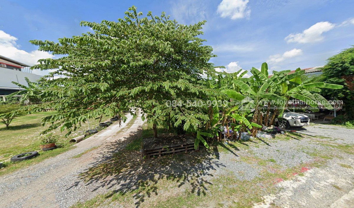 ขายที่ดิน ซอยรามอินทรา46 แยก7 พื้นที่ 52 ตร.วา หน้ากว้าง 12 x 17.5 เมตร ถูกกว่าทุกแปลงในย่านนี้แน่นอน อย่าพลาดโอกาสดีๆ เป็นที่ดินแปลงสวยๆ