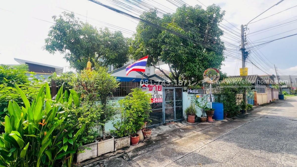 ขายบ้านเดี่ยว 2 ชั้น ซอยจามร 31 ข ปลูกสร้างเองครึ่งตึกครึ่งไม้ ถนนลำลูกกา พื้นที่ 56 ตรว. ใกล้สนามกอล์ฟธูปเตมีย์,เซียร์ รังสิต,BTS คูคต