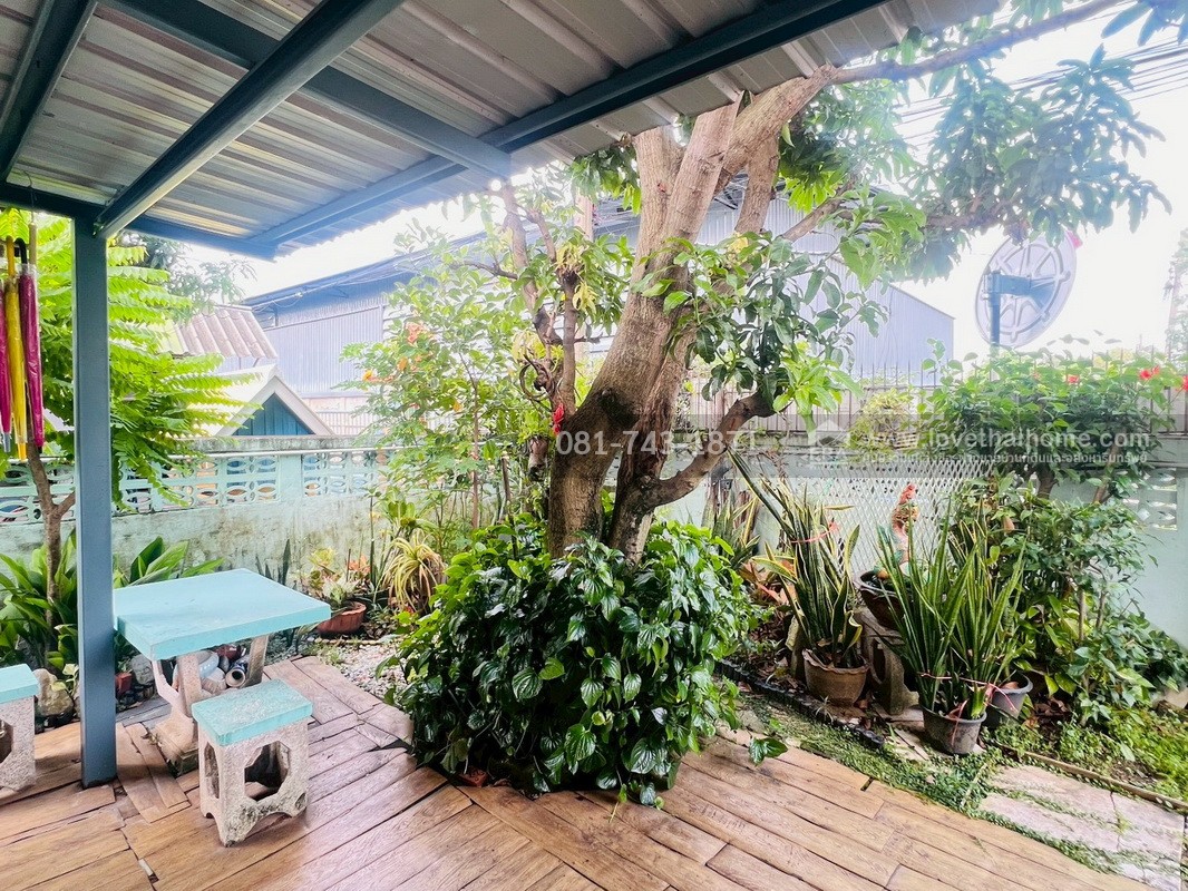 ขายบ้านเดี่ยว 2 ชั้น ซอยจามร 31 ข ปลูกสร้างเองครึ่งตึกครึ่งไม้ ถนนลำลูกกา พื้นที่ 56 ตรว. ใกล้สนามกอล์ฟธูปเตมีย์,เซียร์ รังสิต,BTS คูคต