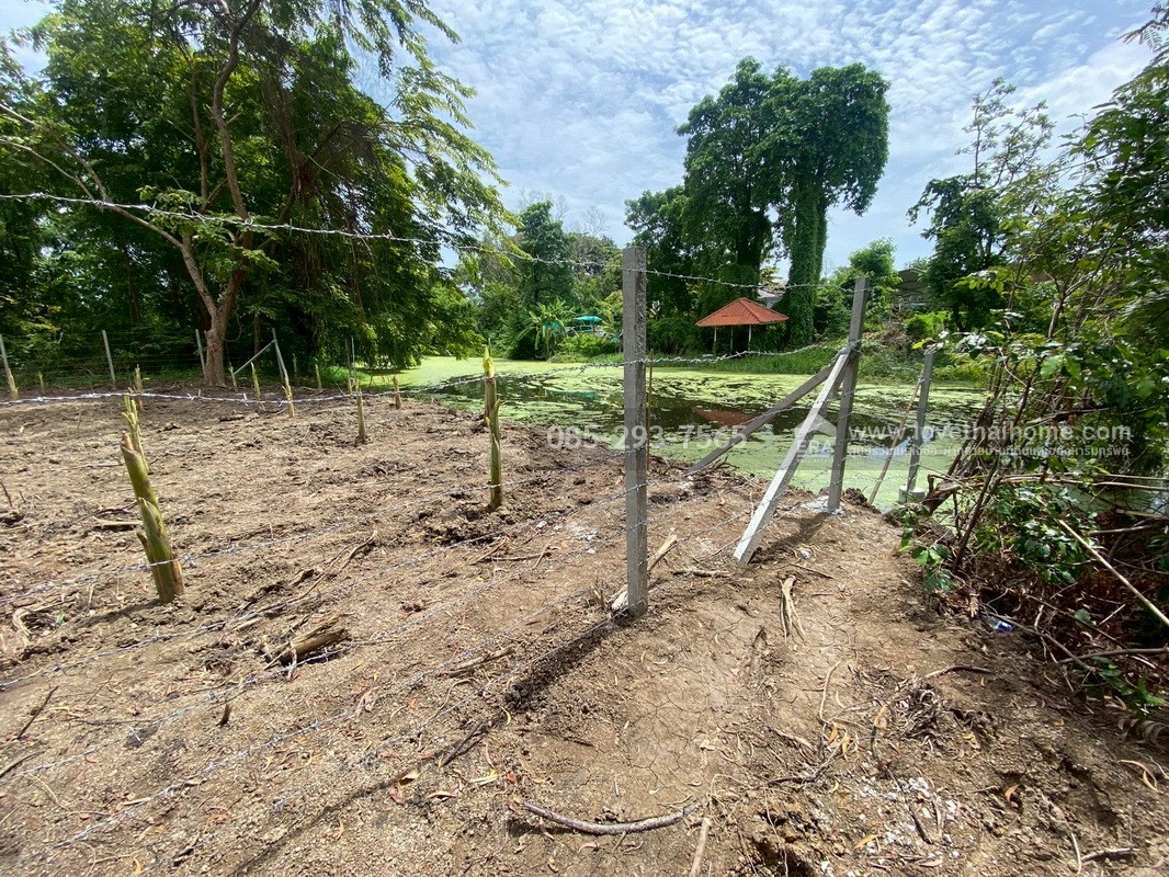 ขายที่ดิน หมู่บ้านเลคการ์เด้นวิลล์ รังสิต คลอง3 ซ.รังสิต-นครนายก68 พื้นที่ 155 ตรว. ด้านหลังติดเลค ใกล้โรงเรียนโชคชัยรังสิต