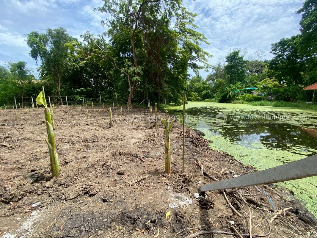 ขายที่ดิน หมู่บ้านเลคการ์เด้นวิลล์ รังสิต คลอง3 ซ.รังสิต-นครนายก68 พื้นที่ 155 ตรว. ด้านหลังติดเลค ใกล้โรงเรียนโชคชัยรังสิต