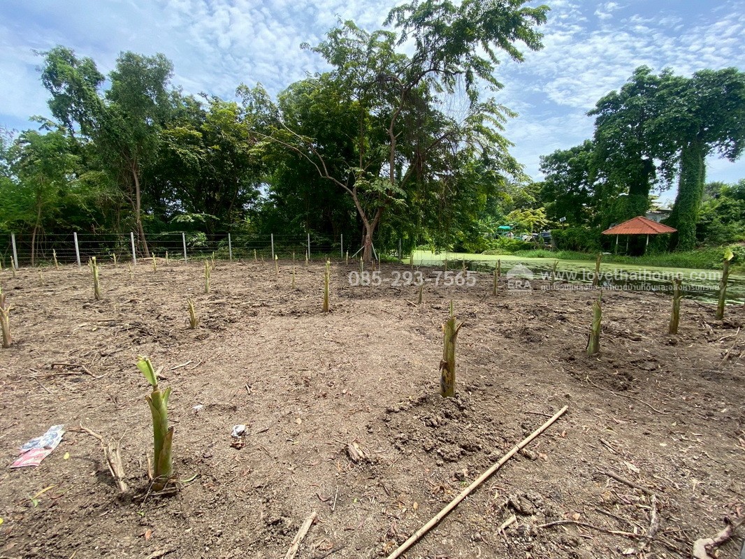 ขายที่ดิน หมู่บ้านเลคการ์เด้นวิลล์ รังสิต คลอง3 ซ.รังสิต-นครนายก68 พื้นที่ 155 ตรว. ด้านหลังติดเลค ใกล้โรงเรียนโชคชัยรังสิต