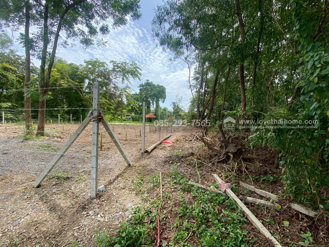 ขายที่ดิน หมู่บ้านเลคการ์เด้นวิลล์ รังสิต คลอง3 ซ.รังสิต-นครนายก68 พื้นที่ 155 ตรว. ด้านหลังติดเลค ใกล้โรงเรียนโชคชัยรังสิต