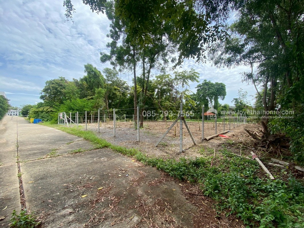 ขายที่ดิน หมู่บ้านเลคการ์เด้นวิลล์ รังสิต คลอง3 ซ.รังสิต-นครนายก68 พื้นที่ 155 ตรว. ด้านหลังติดเลค ใกล้โรงเรียนโชคชัยรังสิต